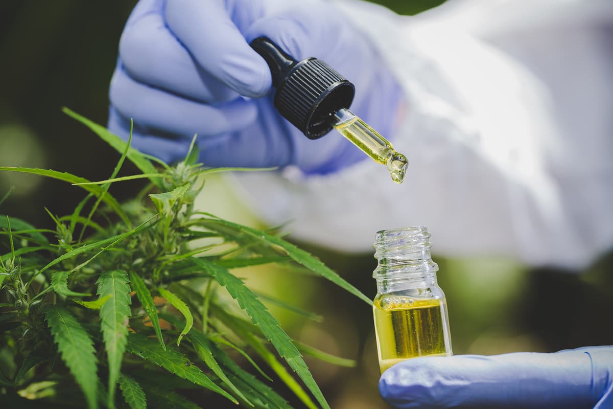 Quality Cannabis Laboratories facility
