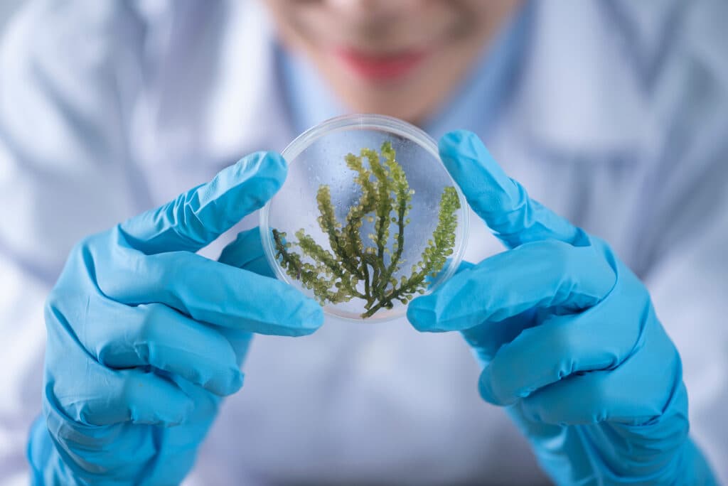 Quality Cannabis Laboratories testing facility